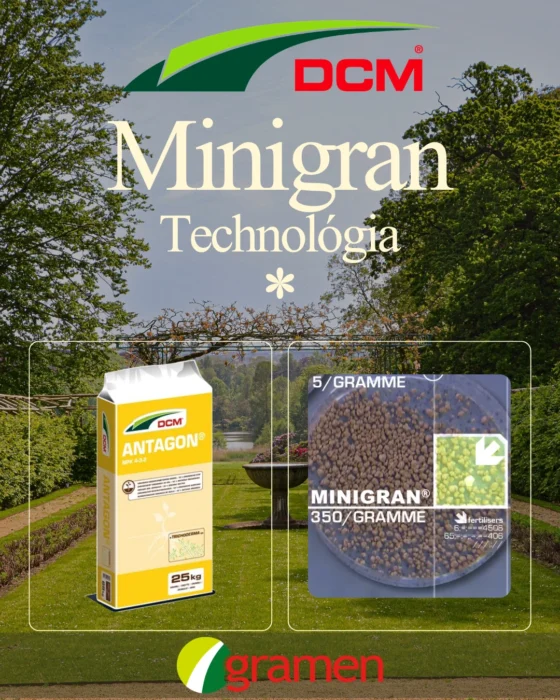dcm minigran