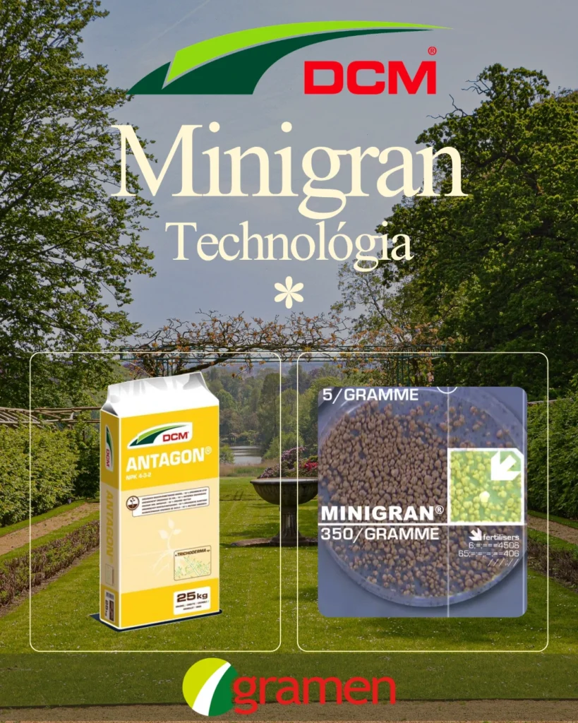 dcm minigran