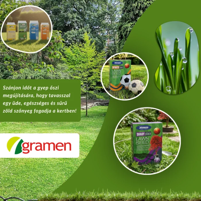 Gramen őszi gyepesítés és felülvetés információk Johnsons Lawn Seed fűmagkeverékekkel és gyeptáptalaj termékekkel.