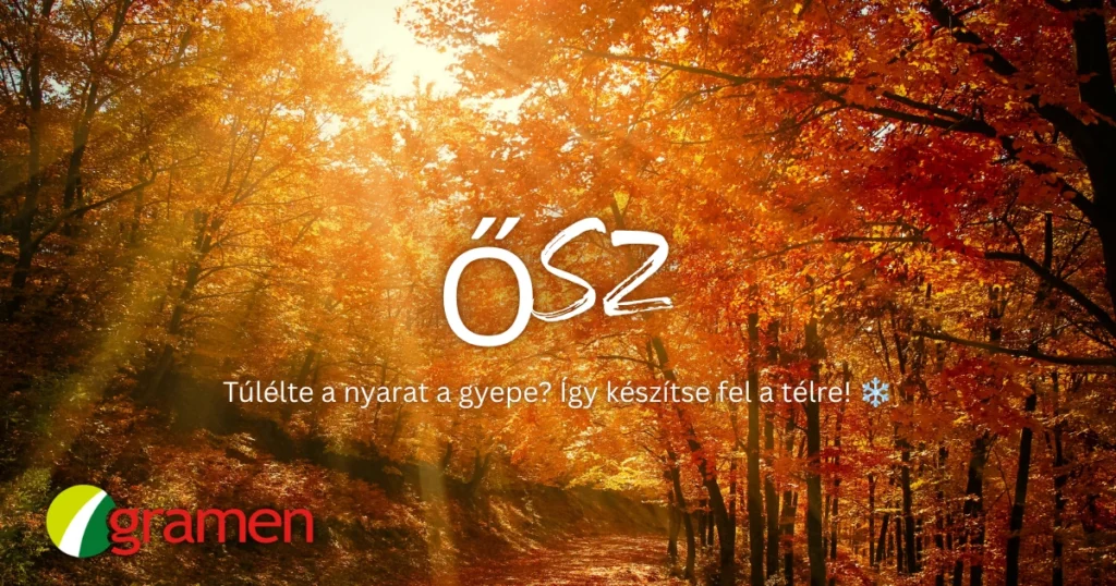 Autumn gramen 1