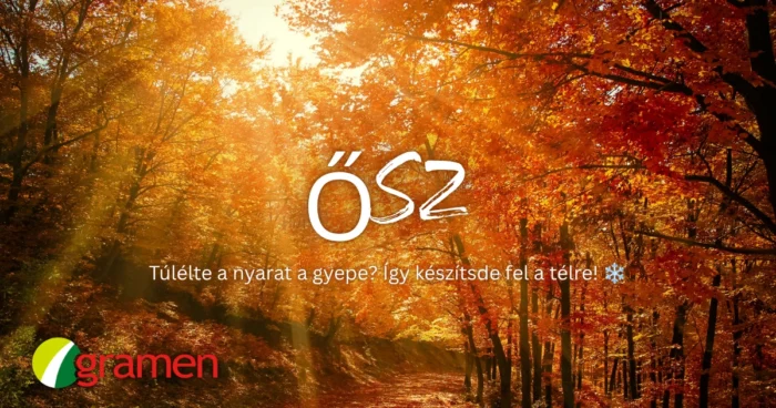 Autumn gramen